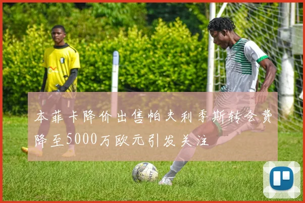 本菲卡降价出售帕夫利季斯转会费降至5000万欧元引发关注