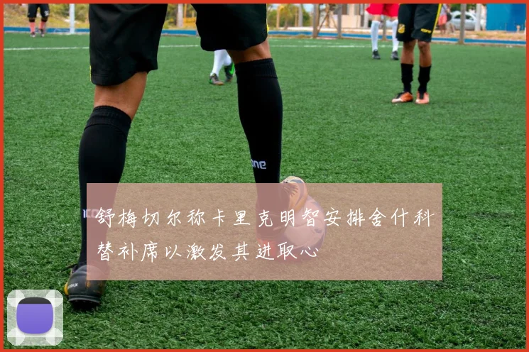 舒梅切尔称卡里克明智安排舍什科替补席以激发其进取心