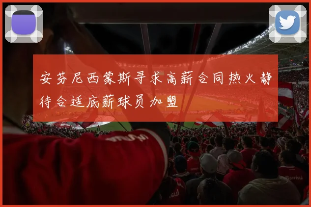 安芬尼西蒙斯寻求高薪合同热火静待合适底薪球员加盟